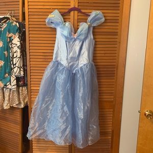 Adult Cinderella Costume
